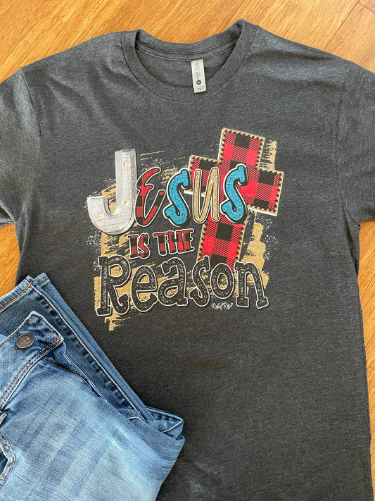 Jesus is the Reason Shirt